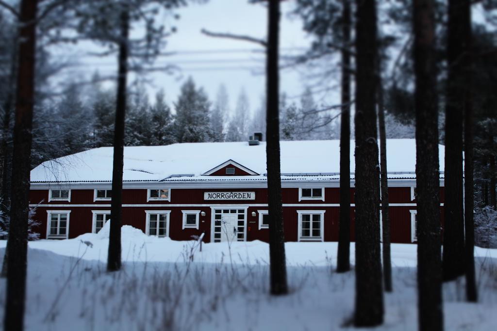 Svanstein Lodge Kültér fotó