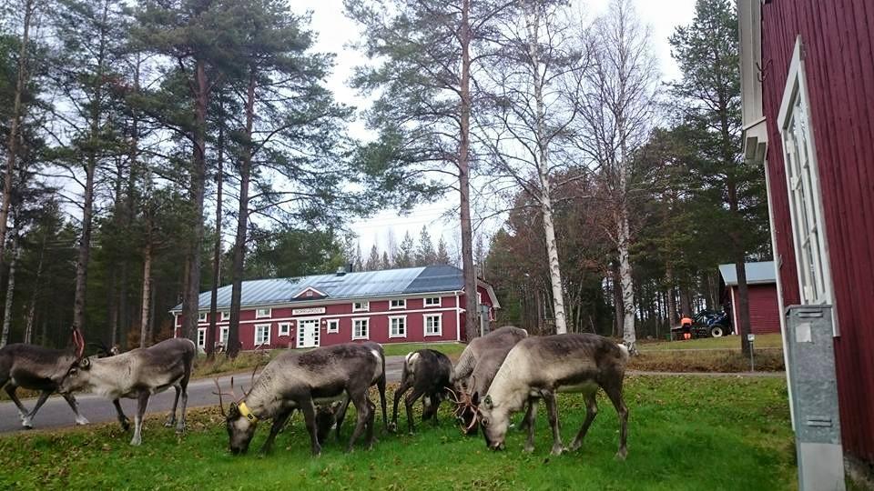 Svanstein Lodge Kültér fotó